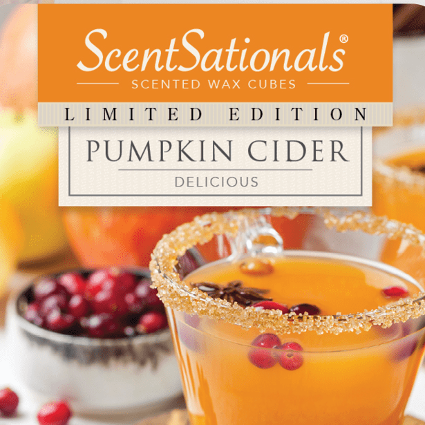 Discover the Delightful Autumn Aromas: ScentSationals Fall 2019 Wax Melts  Reviewed
