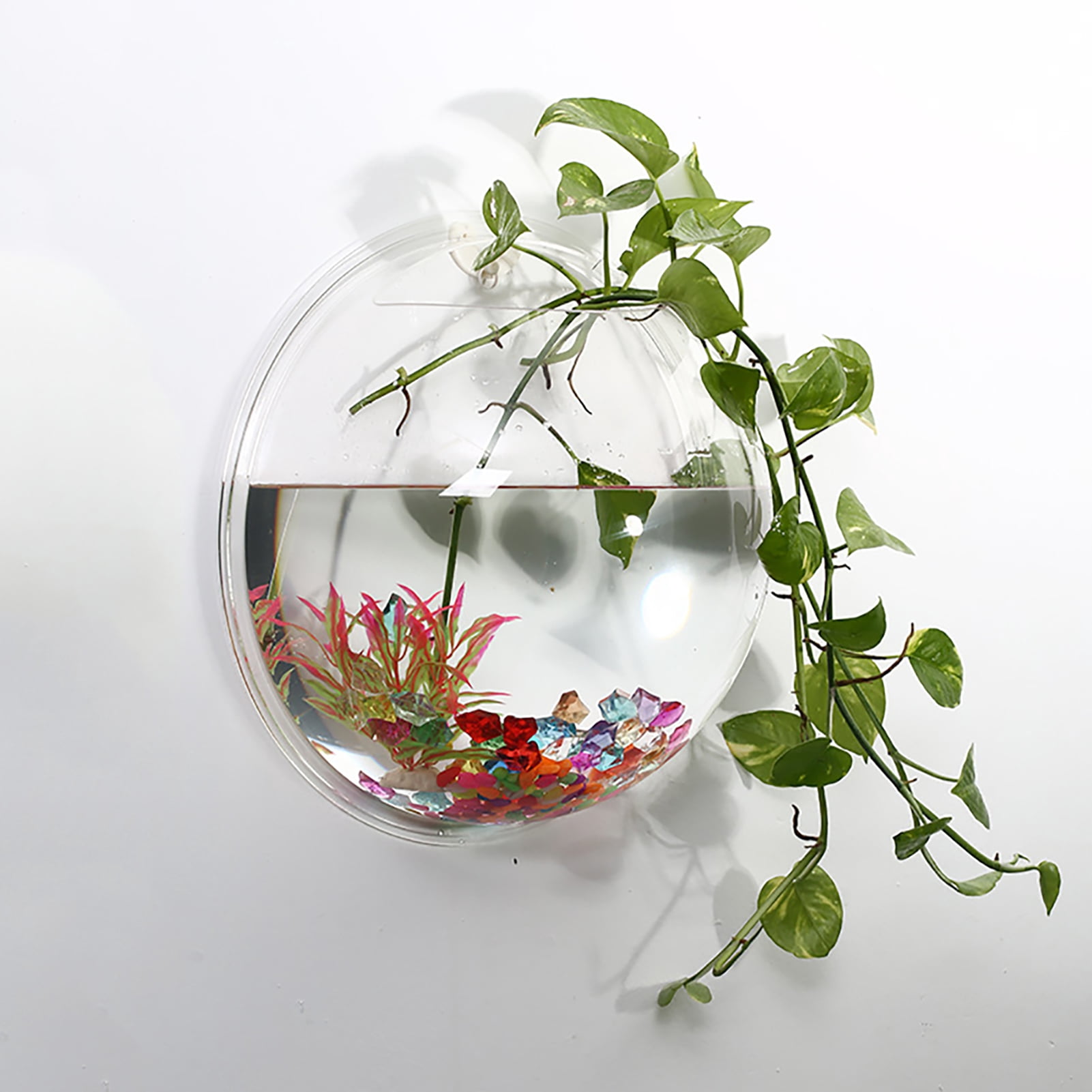 Hevirgo Hanging Wall Mounted Fish Tank Bowl Hanging Bowl for Water Plants, Wall Fish Bubble Tank, Aquarium Wall Decor Plant Fish Bubble - Clear