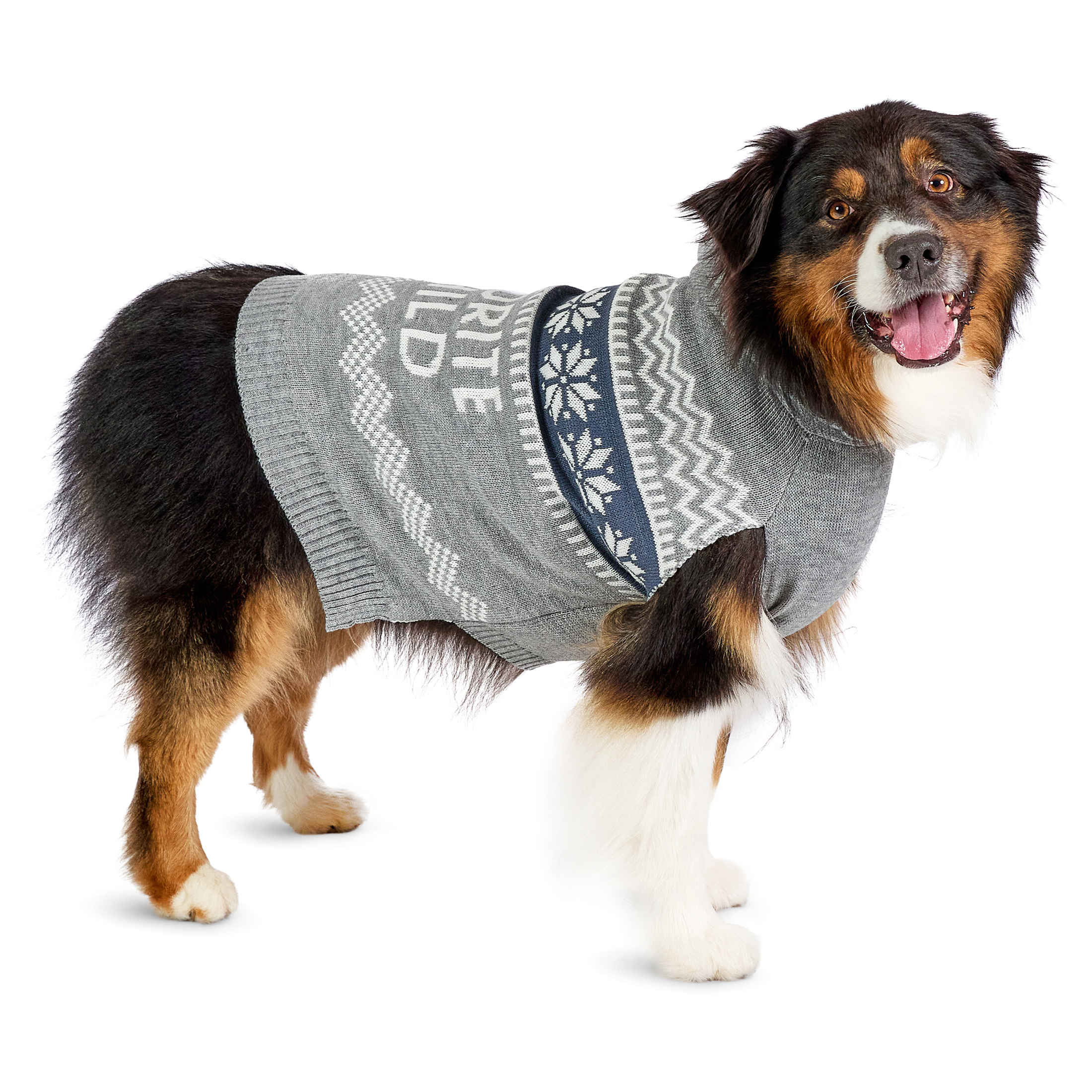 Vibrant Life Holiday Hooded Pet Sweater for Dogs, Favorite Child, Gray, Large