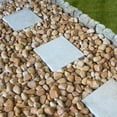 thumbnail image 3 of Rainforest,Outdoor Decorative Stone, River Pebbles, Mixed, 1-3", 30lbs., 3 of 6