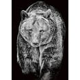 thumbnail image 1 of Pintura de diamante (DE5745) 5D DIY Mosaico cuadrado Obra de arte (Oso A1752) 20X30cm Negro Blanco Hugtrwg Para estrenar, 1 of 1