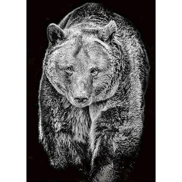 Pintura de diamante (DE5745) 5D DIY Mosaico cuadrado Obra de arte (Oso A1752) 20X30cm Negro Blanco Hugtrwg Para estrenar