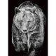 thumbnail image 1 of Pintura de diamante (DE5745) 5D DIY mosaico cuadrado ilustraciones (oso A1752) 50x70cm negro blanco FLhrweasw Nuevo, 1 of 1