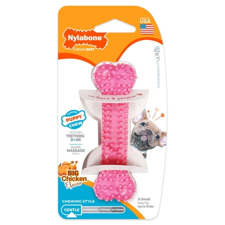 Nylabone Puppy Chew Textured Teething Bone Dog Toy Dog Chew Toy Chicken Flavor X-Small 1 Count