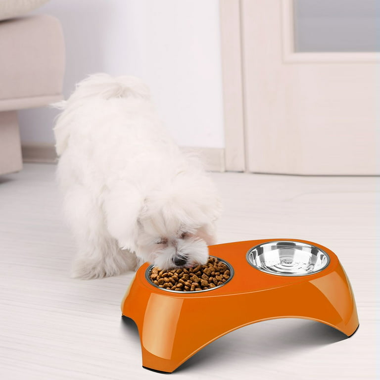 Durable Double Bowls Pet Food Water Feeder With Raised Stand