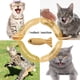 thumbnail image 5 of Juguete con hierba gatera para interior de gato, bonito pez, juguete para gato esponjoso, almohada calmante de felpa suave, juguete con hierba gatera, 5 of 6