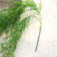 thumbnail image 4 of Guirnalda de hojas de pino artificial, agujas de simulación, hojas de ratán, hogar, boda, fiesta, decoración de plantas falsas Methold HA7435-00B, 4 of 6