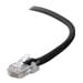 UPC: 0722868164419 | Belkin patch cable – 30 ft – black