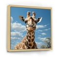 thumbnail image 2 of Designart "Dreamy Long Neck Of The Brown Giraffe" Animals Giraffe Floater Framed Canvas Wall Art, 2 of 5