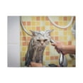 thumbnail image 2 of Cute Maine Coon Bath Canvas Wall Art  for Home Decor Ready-to-Hang, 2 of 18