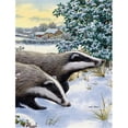 thumbnail image 1 of Badgers Two Of A Kind Flag Garden Size, 1 of 1