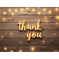 thumbnail image 4 of Rustic Thank You Banner Fairy Lights Celebration Banner Elegant Decor for Wedding Party Indoor Outdoor, 4 of 7