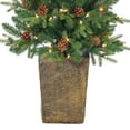 thumbnail image 5 of Sterling Charming 4 Foot Potted Natural Cut Georgia Pine, 5 of 5
