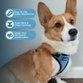 thumbnail image 2 of Voyager Step-In Lock Dog Harness & Reflective Leash Set w/ Neoprene Handle 6ft - For Small to Large Breed Dogs/ Cats, Cute & Heavy-Duty for Walking, Running & Training - Baby Blue Black Trim, L, 2 of 9