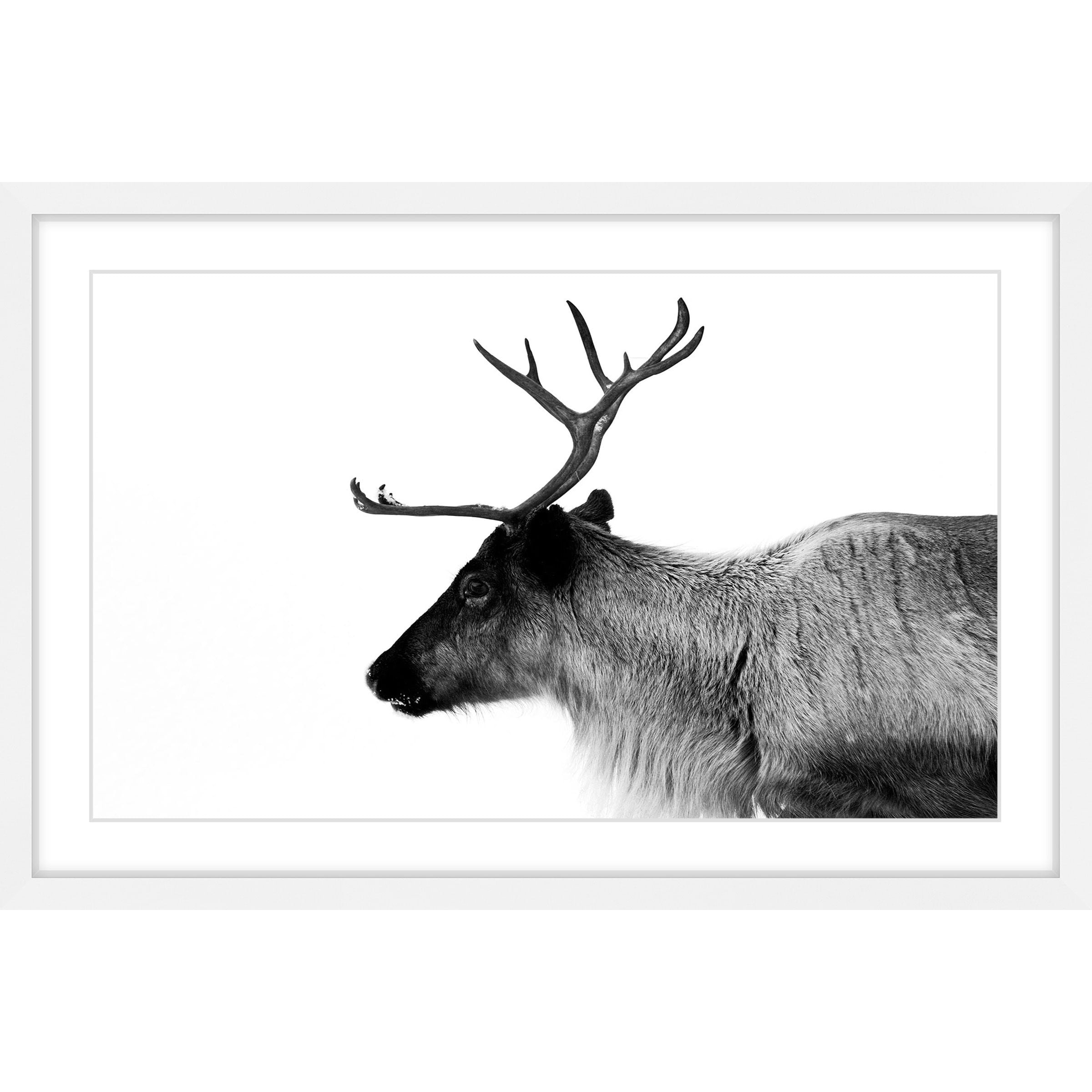 Marmont Hill "Antler Profile" Framed Painting Print