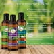 thumbnail image 2 of Aceite Para Masaje Vida Scents Romero y Eucalipto (125 ML) 2 piezas Vida Scents aceite_Romero_y_Eucalipto_125ml, 2 of 3