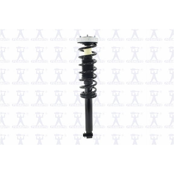 Suspension Strut and Coil Spring Assembly