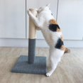 thumbnail image 3 of Rascador para gatos Sunnimix Torre escalada Sisal cuerda con bola 30x30x52cm Postes rascadores para gatos, 3 of 8