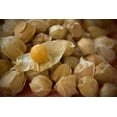 thumbnail image 3 of 50 PINEAPPLE TOMATILLO Yellow Ground Cherry Physalis Ixocarpa Fruit Vine Seeds, 3 of 10