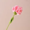 thumbnail image 4 of Clavel de ganchillo, flores de ganchillo hechas a mano, exquisita flor de clavel tejida a mano, acabado estético para decoración del hogar y la Oficina, 4 of 6