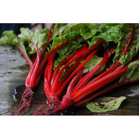 Swiss Chard Ruby Red Garden Heirloom Vegetable 150 Seeds