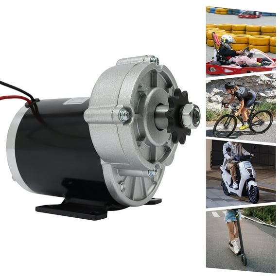 36VDC 600W Gear Reduction Electric for E-Bike Scooter Mini-Electric Motorcycle