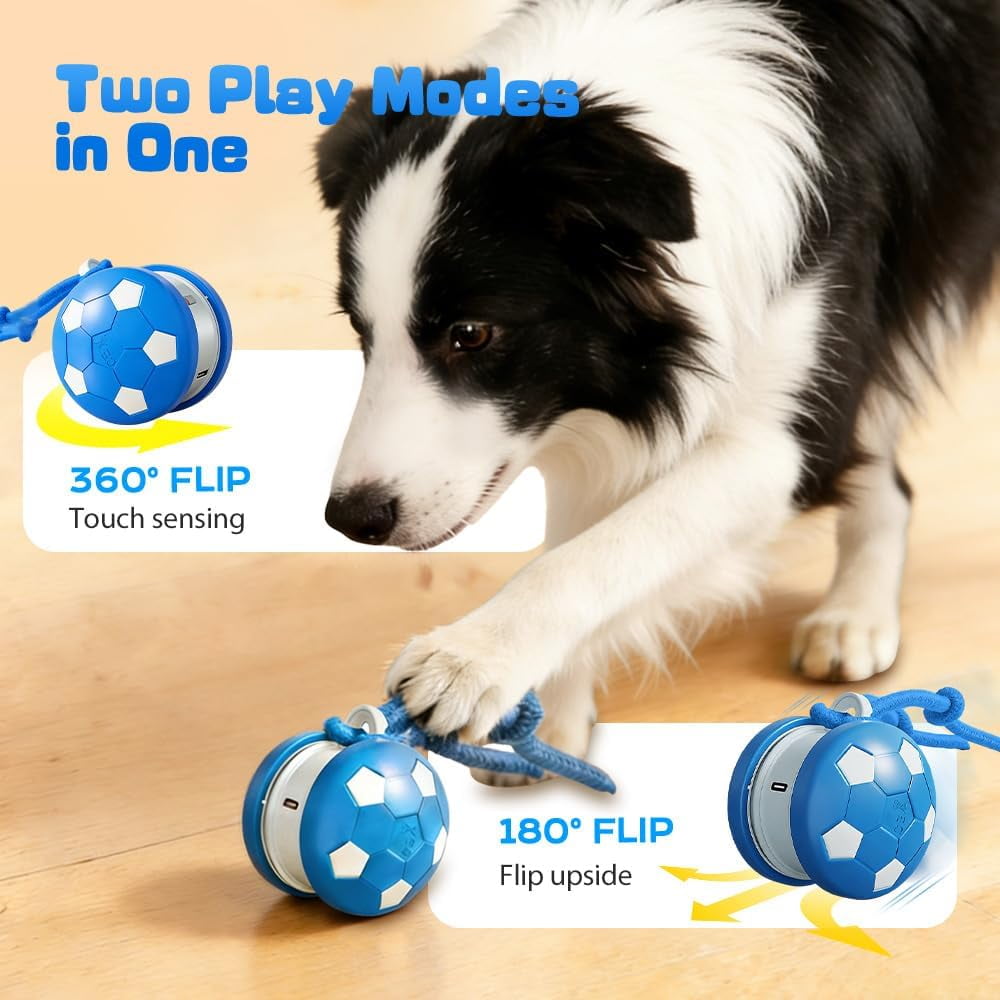 Interactive Dog Balls, Electric Moving and Rolling Enrichment Dogs Ball with Rope, Interactive Pet Ball for Small Medium Large Dogs, Rechargeable Motion-Activated Smart Dog Ball (Blue+Orange, 2Pcs)