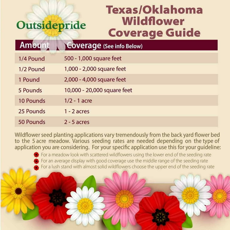 Wildflower Gardening in Oklahoma