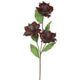thumbnail image 1 of Fleur de Magnolia au Chocolat&44; 33 & x 3 4 Po., 1 of 1