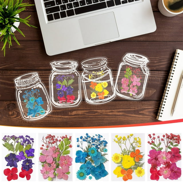 Vaidha Colorful Natural Dried Flowers And Embossed Decorative Set
