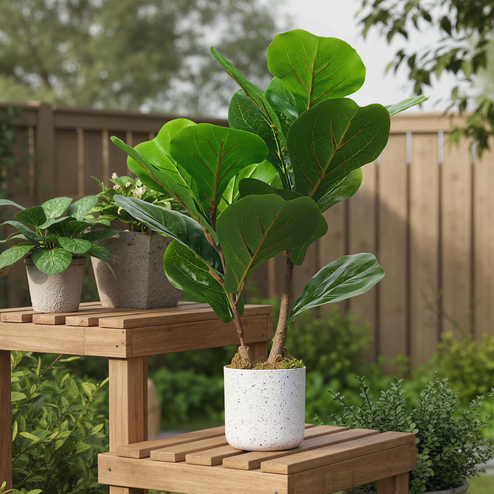 QinaQin 15.7" Faux Fiddle Leaf Fig Tree Indoor, 2 Pack Artificial Potted Ficus Trees with White Pots and Cement Moss Base, Small Fake Potted Ficus Plants with Realistic Leaves for Home Office Decor