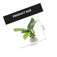 thumbnail image 2 of HAMPPLIES 10Pcs Small Aquarium Artificial Plants Assorted Color for Aquarium Beautification, 2 of 6