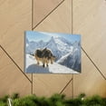 thumbnail image 6 of Yak Hunting Yak on Hunt Print Animal Wall Art Wildlife Canvas Prints Wall Art Ready to Hang Unframed, 6 of 18