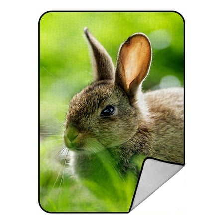 Crystal Rabbit ZKGK Animals Rabbit Blanket Crystal Velvet Front and Lambswool Sherpa Fleece Back Throw Blanket 58x80inches ()