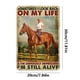 thumbnail image 5 of Placa Metal para Montar A Caballo Pintura Hierro Rectangular Arte La Pared 20x30 Cm, 5 of 9