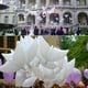 thumbnail image 4 of Toystoory Globos de paloma para bodas, sello automático, ceremonias románticas fiables, decoraciones para fiestas, elegante globo de paloma y Kits de decoración para fiestas, 4 of 6