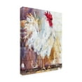 thumbnail image 2 of Trademark Fine Art 'Leghorn' Canvas Art by Annelein Beukenkamp, 2 of 3