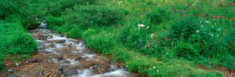 Stream And Alpine F