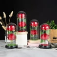 thumbnail image 5 of BKER Two Roses Glass Cover LED Atmosphere Lamp Creative Decoration For Girlfriend On Valentine's Day Rose Lamp, 5 of 5