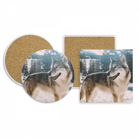 

Sle White Dog Snow Picture Coaster Cup Mug Holder Absorbent Stone Cork Base Set