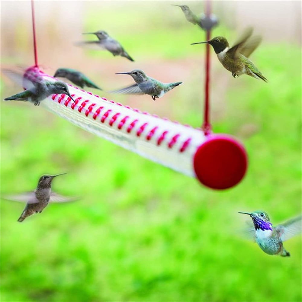 multiple hummingbirds at one feeder