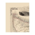 thumbnail image 3 of Historic Map - Van Diemens Land Tasmania Australia - Tallis 1851 - 23 x 28.83 - Vintage Wall Art, 3 of 5