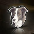 thumbnail image 4 of Border Collie Dog 3D Novelty Light Box, Smart Pet Breed Lamp Decor for Animal Lovers, Puppy Gifts and Herding Dog Rooms (Width 24 inch, 60cm), 4 of 9