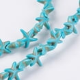 thumbnail image 3 of Turquoise Beads Strands Starfish/Sea Stars Dyed & Heated Deep Sky Blue 14~15x14~15x5mm Hole: 1.5mm about 36~38pcs/strand 14.57 inch~14.96 inch(37~38cm), 3 of 3