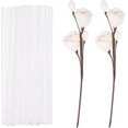thumbnail image 1 of uxcell 102Pcs Reed Diffuser Sticks Set, Fiber Fragrance Flower Reed Diffuser Replacement Refill Sticks Flower Decor with Plastic Bottle for Home, Hotel, Office (White), 1 of 6