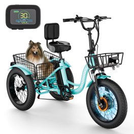 Electric Tricycle Three Wheel Bike Revom T1 20