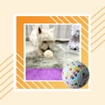 thumbnail image 3 of Billuyoard Mascotas Chew Toy Ball Juguetes Interactivo Mordedor Entrenador Accesorios Naranja Azul Type3 NO3 Billuyoard PT003592-01, 3 of 6