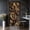Color 3, variant on Door Stickers Peel and Stick Door Mural Fishing pier river Landscape Scenery Forest Tree Removable Wallpaper 30.3''x78.7'' Self-Adhesive Mural for Kitchen Living Room Bedroom Decor