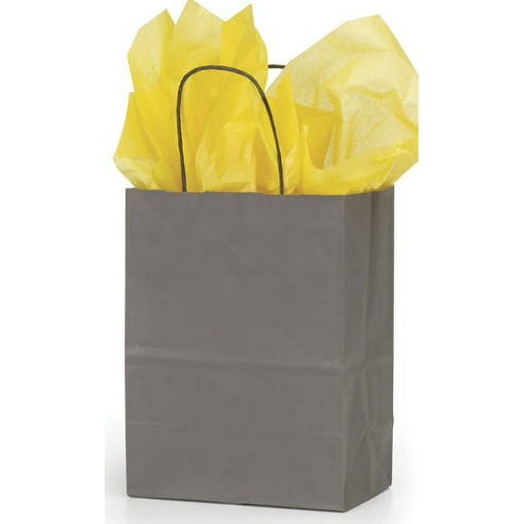 SSWBasics Medium Storm Gray Paper Shopping Bags - 8 ¼”L x 4 ¾”D x 10 ½”H - Case of 100
