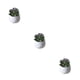thumbnail image 5 of Ounissouiy Simulación suculenta artificial Bonsai Paisaje de flores falsas para el hogar Type3 NO3, 5 of 6